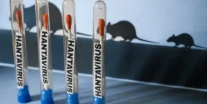 pengawasan-penyakit-menular-usai-temuan-4-kasus-hantavirus